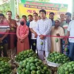 ভোলাহাট আম ফাউন্ডেশনে আম ক্রয় বিক্রয় উদ্বোধন