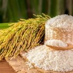 আটা-ময়দার দাম বাড়তি, প্রভাব পড়েছে চালের বাজারে