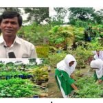 ডোমারে স্কুলের ছাদকে বাগানে দৃষ্টান্ত স্থাপন করেছেন শিক্ষক সুকুমার রায়