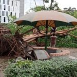 ৪ মিনিটের ঝড়ে বগুড়ায় সব লন্ডভন্ড