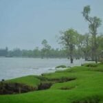 নিদ্রা: ঘুম বিহীন এক সমুদ্র সৈকত