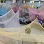 করোনার ঊর্ধ্বগতির মধ্যে ডেঙ্গুর প্রভাবে বাড়ছে মৃত্যুঝুঁকি