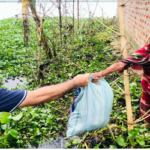 কুলাউড়ায় শফিউল আলম চৌধুরী নাদেল’র ত্রাণ সামগ্রী বিতরণ