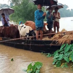 সুনামগঞ্জে বন্যার সঙ্গে ৯০ ভাগ মানুষের যুদ্ধ