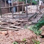 লালপুরে গাছ পালা কেটে জমি জবর দখলের অভিযোগ