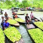 পদ্মা সেতুর মাধ্যমে নিজেদের ভাগ্য উন্নয়নের স্বপ্ন দেখছে ঝালকাঠিসহ দক্ষিণাঞ্চলের মানুষ 