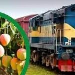 চাপাই-ঢাকা রুটে ‘বিশেষ আম ট্রেন’ চালু হচ্ছে সোমবার