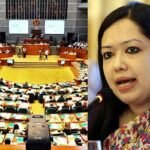 পদ্মা সেতুকে বলতেই হয় আমাদের সোনার সেতু: রুমিন ফারহানা