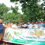 নওগাঁর সাপাহারে আনুষ্ঠানিক ভাবে আম সংগ্রহের উদ্বোধন করেন খাদ্যমন্ত্রী সাধন চন্দ্র মজুমদার