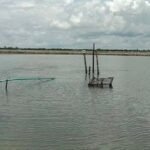 মোংলায় মিঠাখালীর মৎস্য ঘেরে গ্যাসের সন্ধান