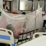 আরও ৪২ জন ডেঙ্গু রোগী হাসপাতালে ভর্তি