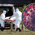 করোনায় একজনের মৃত্যু, শনাক্ত ৩৫৫