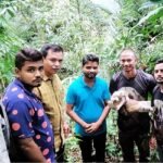 বিলুপ্তপ্রায় লজ্জাবতী বানর উদ্ধার