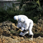 করোনায় আরো ৪ জনের মৃত্যু, শনাক্ত ৪৪৬