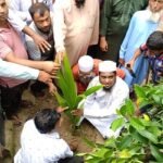 আখাউড়ায় গ্র্যাজুয়েট ও প্রবাসী অ্যাসোসিয়েশনের উদ্যোগে বৃক্ষরোপণ