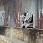 নেত্রকোণায় দুর্গাপুরে যুবলীগ নেতার বাড়িতে হামলা ও কয়েকটি ঘরবাড়ি  ভাংচুর, থানায় মামলা