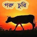 আটোয়ারীতে চোরাই গরু উদ্ধার ! চোর পলাতক