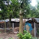 ফুলবাড়ীতে প্রভাবশালীর ভয়ে গ্রাম ছাড়া এক দিনমজুর পরিবার
