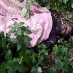 নবাবগঞ্জে বাঁশঝাড় থেকে ব্যাবসায়ীর মরদেহ উদ্ধার
