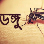 ডেঙ্গুতে আরও একজনের মৃত্যু, হাসপাতালে ভর্তি ১১৬