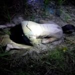 ধানখেতে পড়ে ছিল দিন মজুরের লাশ 