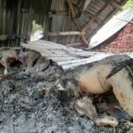 কুড়িগ্রামে মন্দিরে আগুন ও প্রতিমা ভাঙচুর