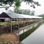 বগুড়ার শেরপুরে হাটের জায়গা দখল করে ঘর নির্মাণের অভিযোগ