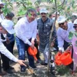 ঢাকা শহরকে বাঁচাতে হলে গাছ লাগাতে হবে: মেয়র আতিক