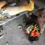 মোংলায় প্রতিমা ভাংচুর, ৩ জনকে জিজ্ঞাসাবাদ