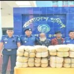 বিজয়নগরে এক মন গাঁজাসহ সিএনজি জব্দ, দুইজন আটক