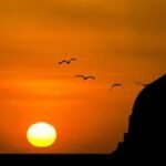 মহানবী (সা.) এর সার্বজনীন আদর্শ ও চারিত্রিক গুণাবলি