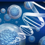 ২০৪৫ সালের মধ্যে মৃত্যু হবে ‘ঐচ্ছিক’, ‘নিরাময়যোগ্য’ হবে বার্ধক্য!