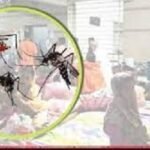 চলতি বছরে ডেঙ্গুতে রেকর্ড মৃত্যু
