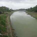 ফুলবাড়ী উপজেলার যমুনা নদীতে রাবার ড্রাম নির্মাণ করলে কয়েক হাজার জমি সেচ সুবিধা পাবে 