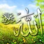 সব কিছুতে আল্লাহর ইচ্ছার প্রতিফলন