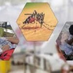 ডেঙ্গিতে আরও ৫ মৃত্যু, হাসপাতালে ৮৭৩ রোগী