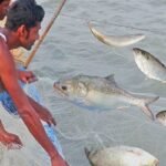 চাঁদপুরে ১৮ জেলে আটক