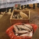 বিক্রির সময় ইলিশ জব্দ, এতিমখানায় বিতরণ