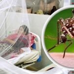 এক দিনে সর্বোচ্চ ডেঙ্গি রোগী হাসপাতালে ভর্তি, মৃত্যু ২