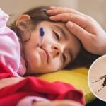 রেকর্ড ৯০০ ডেঙ্গু রোগী হাসপাতালে ভর্তি, ৩ জনের মৃত্যু