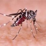 ডেঙ্গুর প্রকোপ থাকবে নভেম্বর পর্যন্ত: বিশেষজ্ঞ মত