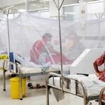 ডেঙ্গুতে আরও ৫ জনের মৃত্যু, আক্রান্ত ৪৪০