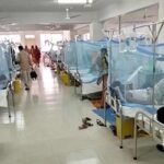 ২৪ ঘণ্টায় ডেঙ্গুতে আরও দুইজনের মৃত্যু