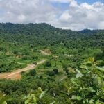 মর্টারশেল বিস্ফোরণে ফের কেঁপে উঠল তুমব্রু