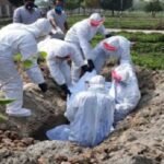 করোনায় ৫ জনের মৃত্যু