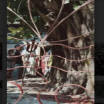 লালমনিরহাটে মন্দিরে হামলা চালিয়ে শিবলিঙ্গ ভাংচুর ও দানবাক্সের অর্থ লুট