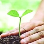 বৃক্ষরোপণে অফুরন্ত সওয়াব