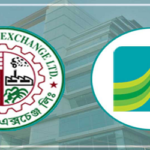 পুঁজিবাজারে সূচকের পতন