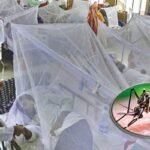 ডেঙ্গিতে প্রাণ গেল আরও ৪ জনের