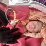 নরসিংদীতে কাগজে মোড়ানো নবজাতক উদ্ধার 